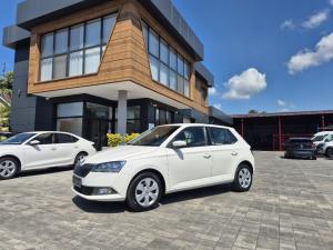 auto-skoda-fabia-van-ambition-1